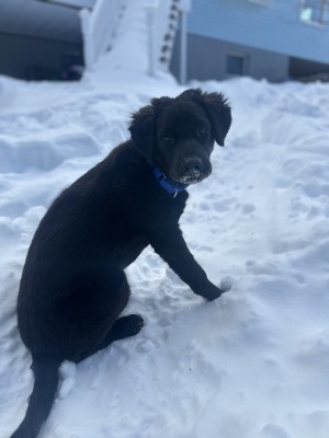Photo of Enzo
