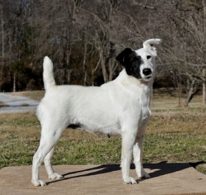 Photo of Charm