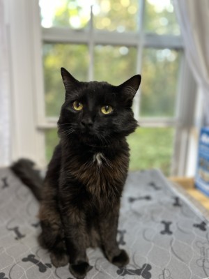 Photo of Monte