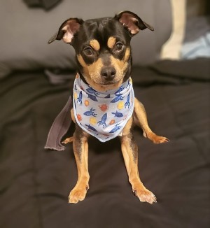 Photo of Prince Mercury