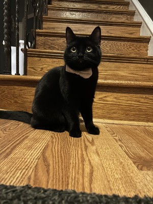 Photo of Cocopuffs