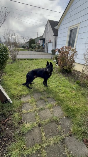 Photo of Gunnar