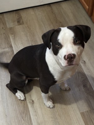Photo of Mylo