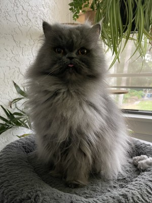 Photo of Barbara