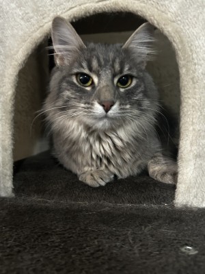 Photo of Stormie