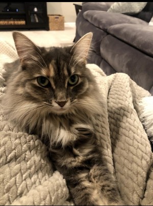 Photo of Izzy