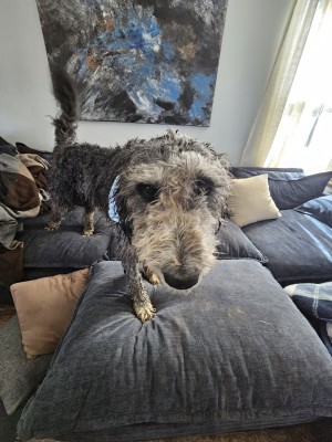 Photo of Dudley Aka Duds
