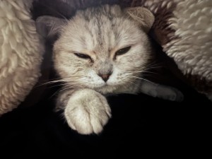 Photo of Mila