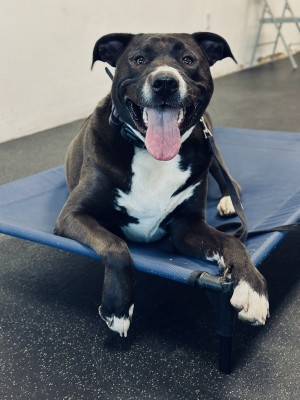Photo of Arwen