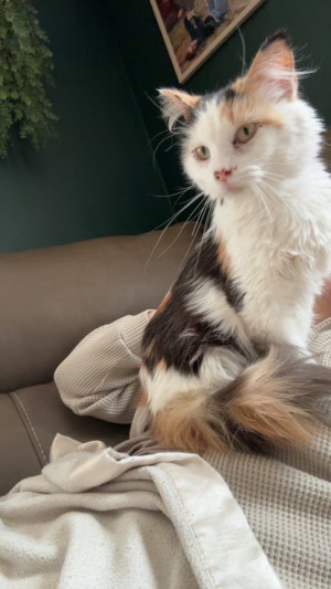 Photo of Birdie
