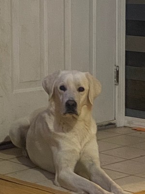 Photo of RIP