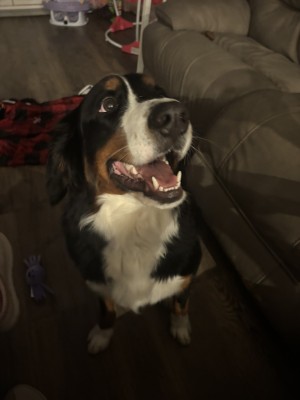 Photo of Molly