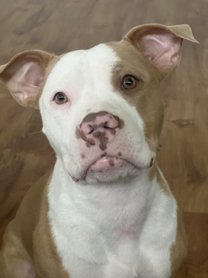 Photo of Hazel