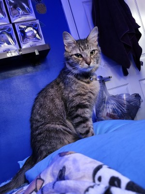 Photo of Skylar