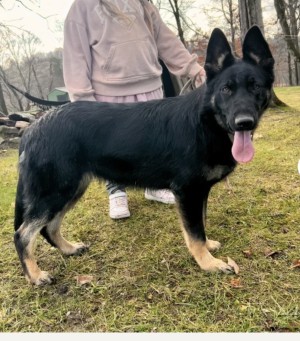 Photo of Maggie