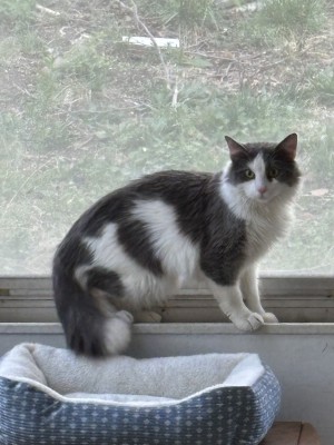 Photo of Miles Purrales