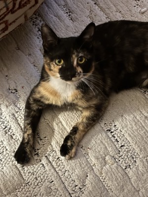Photo of Cora Bella