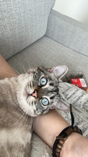 Photo of Pablo