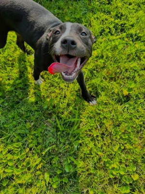 Photo of Mazikeen