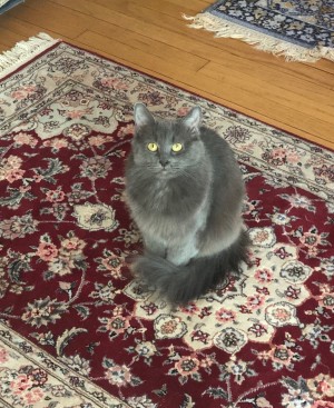 Photo of Bootsie