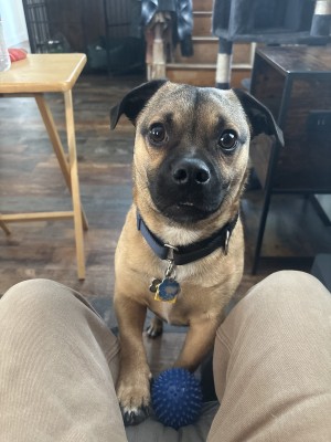 Photo of Henry