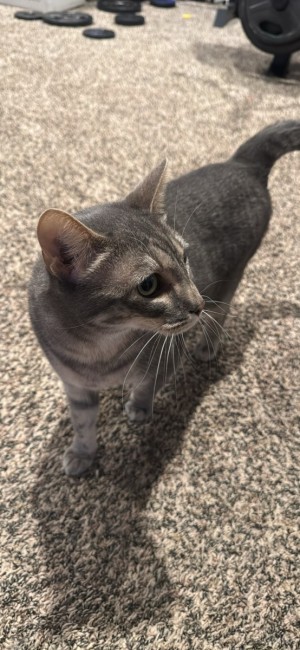Photo of Blue