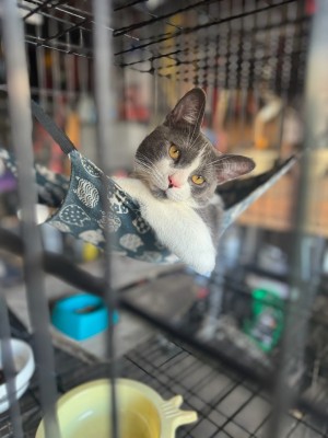 Photo of Theo