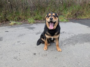 Photo of Titus