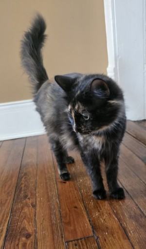 Photo of Princess