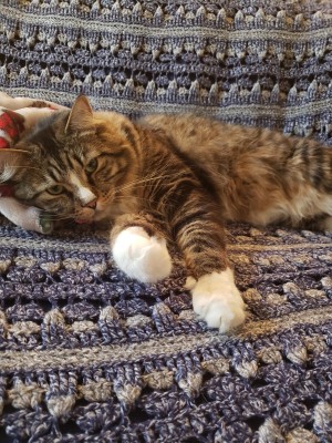 Photo of Seymour