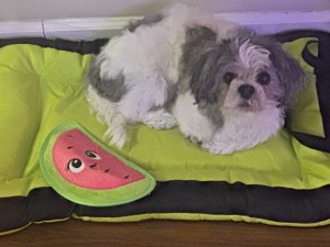 Photo of Billy
