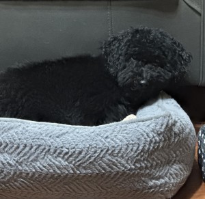 Photo of Coalby