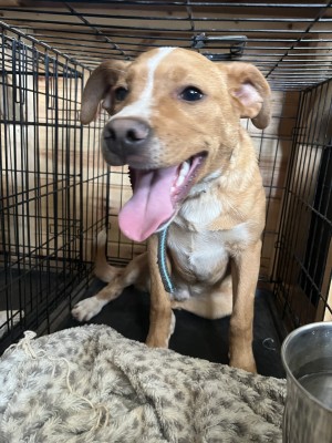 Photo of Reuben