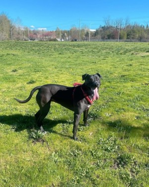 Photo of Molly