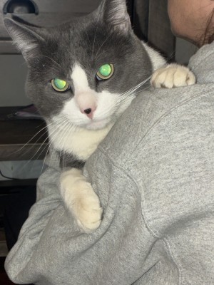Photo of Mister