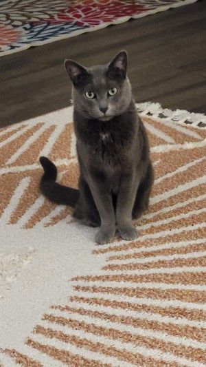 Photo of Winnie