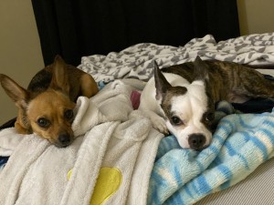 Photo of Tica/Coca