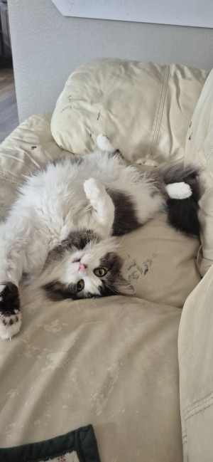 Photo of Hudson