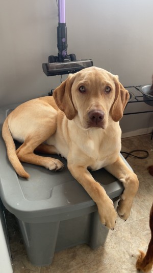 Photo of Winnie