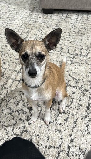 Photo of Maggie