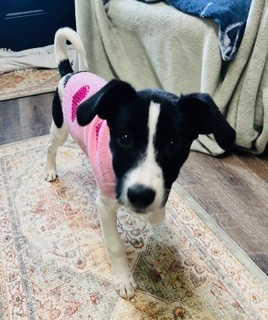Photo of Mia