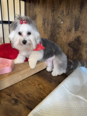 Photo of Isabelle