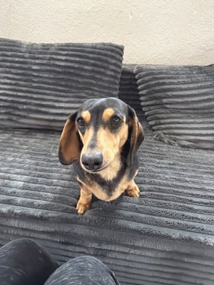Photo of Gabby
