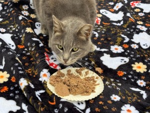 Photo of Charlie