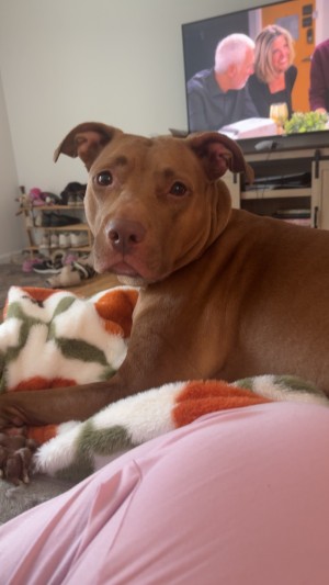 Photo of Lorelei