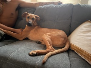 Photo of Athena