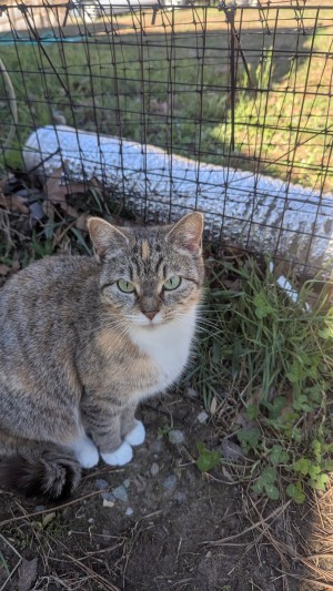 Photo of Crystal