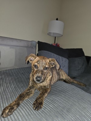 Photo of Spooky