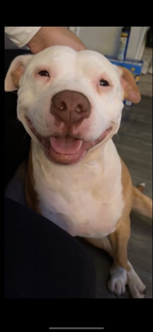 Photo of Tyson