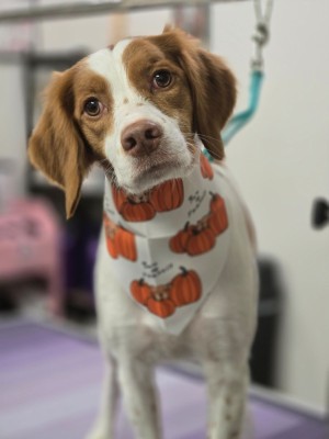 Photo of Lucy